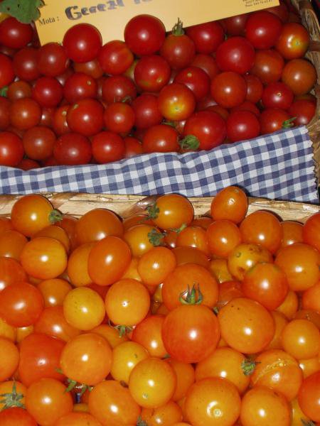 gerezi tomatia