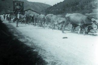 puntako idixak trena karriatzen Gatzagan