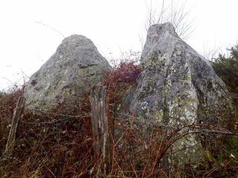 Irutontorretako atso-agurak