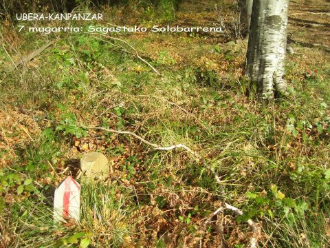 7 mugarria, Sagastako solobarrena