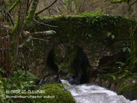 Burdinkurutzeko zubia