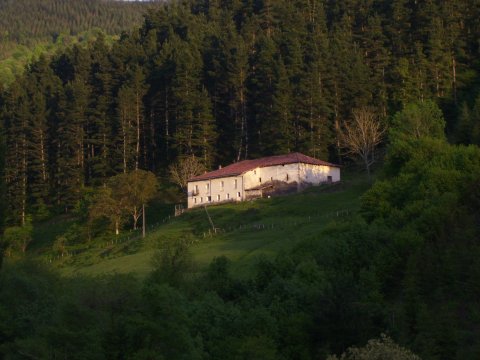 Elkoro abeletxe bidetik