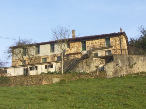 Irigoien matsorriaga