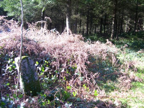 13 mugarrixa -Asentzio