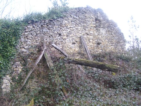 Pagola -iparreko hormia