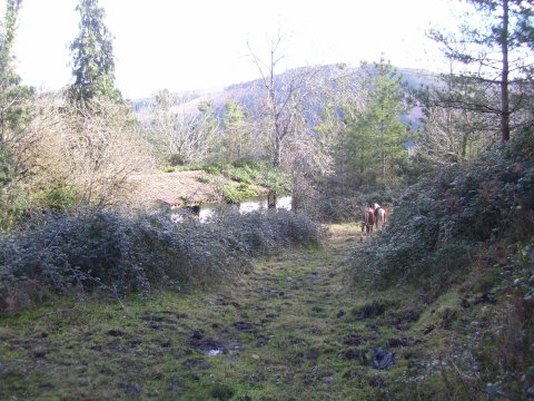 Kostein orain dagoen txabolia