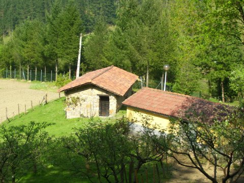 Goiko solua txabolia