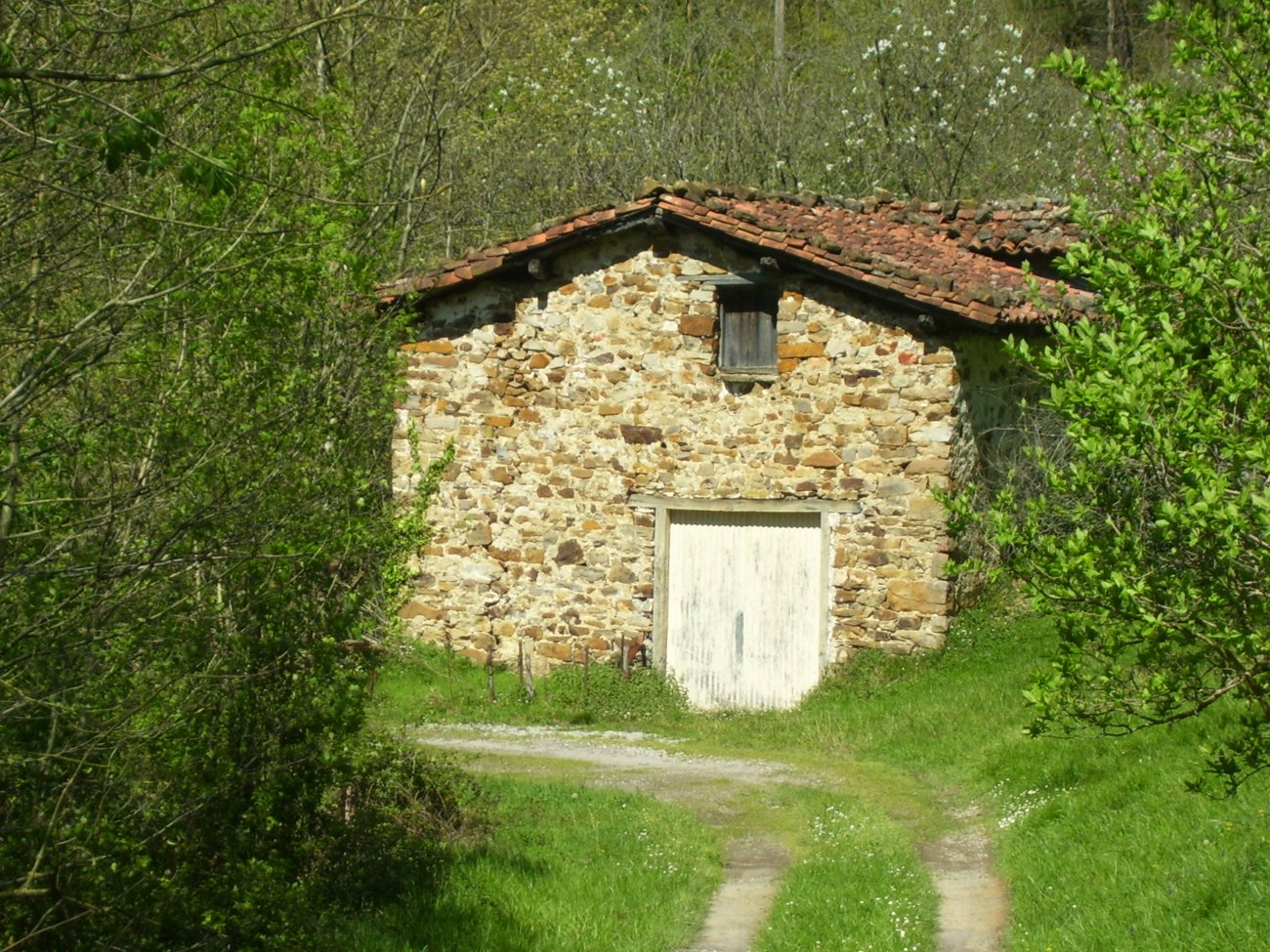 Urittako txabolia, presa onduan