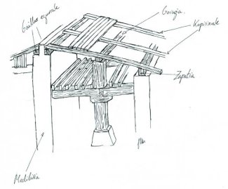 teillatuaren egituria